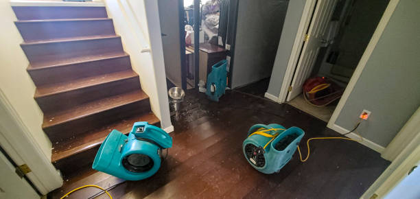 Best Water damage restoration cost  in Old Stine, CA