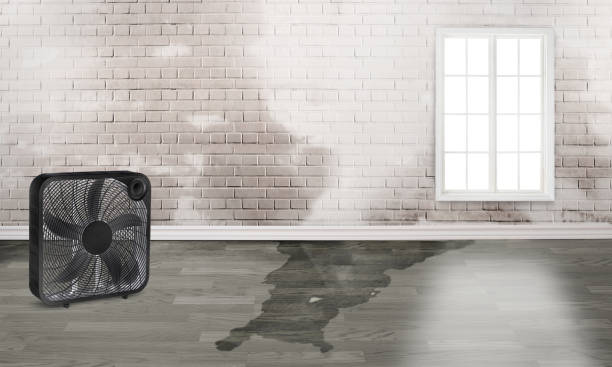 Water damage restoration insurance claims in Old Stine, CA