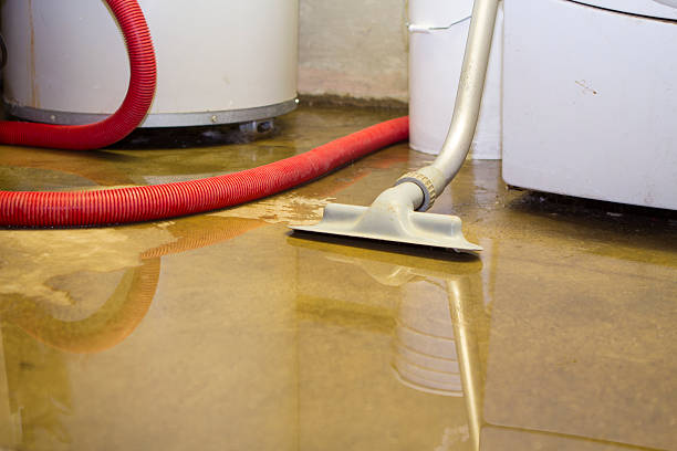 Best Flood damage cleanup  in Old Stine, CA